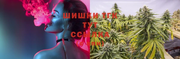 2c-b Гусев