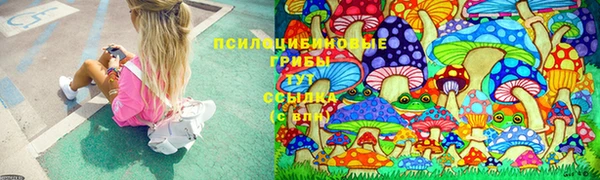 герыч Дмитриев
