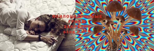 круглые Дмитров