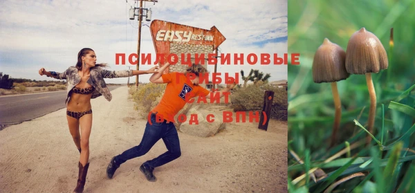 2c-b Гусев