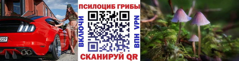 Галлюциногенные грибы Psilocybe  Грязовец 